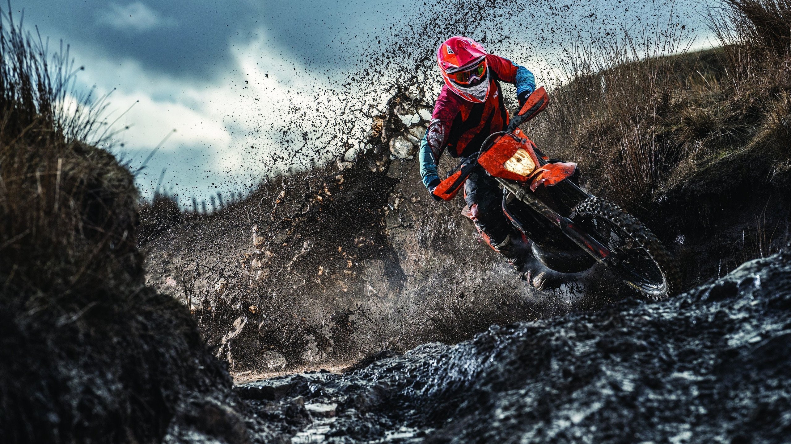 女子蛙泳前程分段对比出炉,女子蛙泳冠军是谁