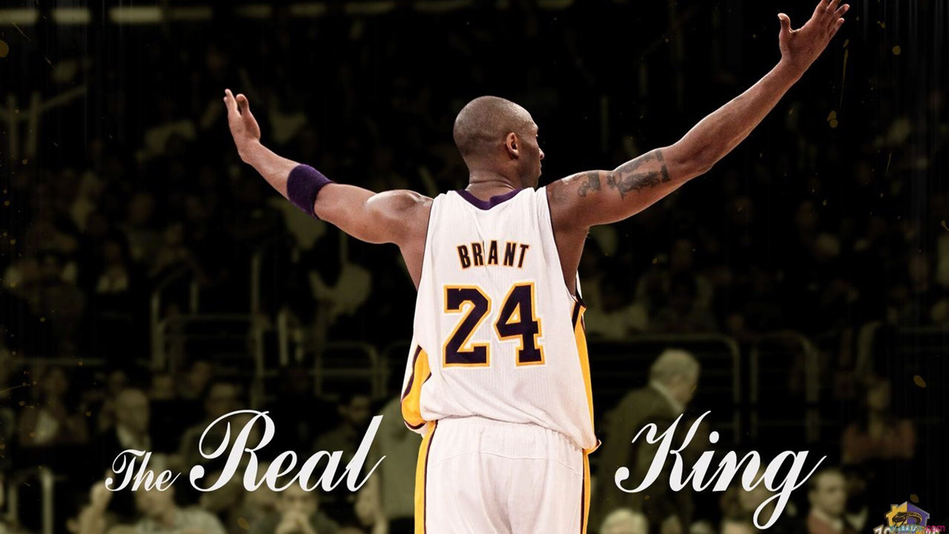 蝶泳50米冠军出发反应仅0.58秒，蝶泳50米世界纪录是多少